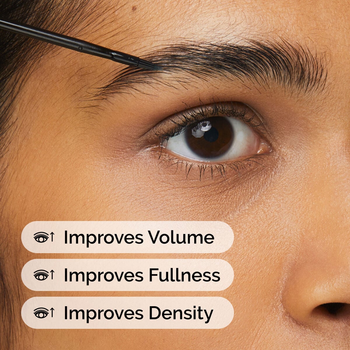 Multi-Peptide Lash and Brow Serum Targeted Eye Support L1