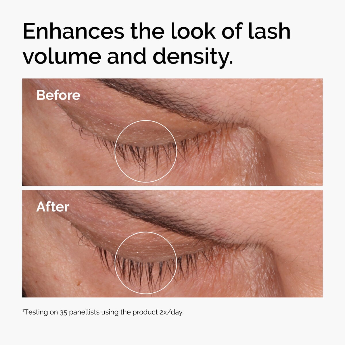 Multi-Peptide Lash and Brow Serum Targeted Eye Support L1