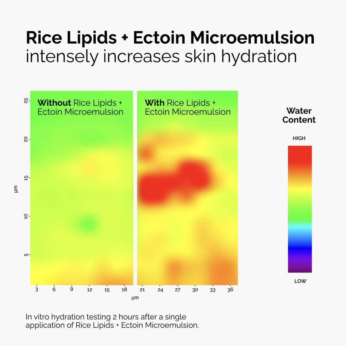 Rice Lipids + Ectoin Microemulsion Curated Care Set N4